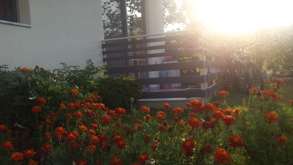 Aparthotel Vila Tufi Velipojë Rom bilde